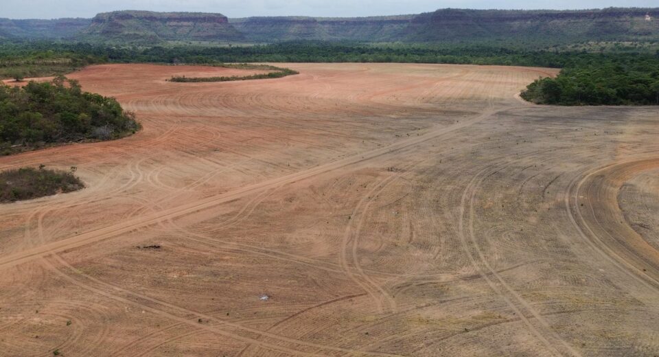 Processadoras de soja deixam acordo sobre desmatamento na Amazônia