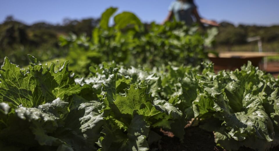 Acordo garante terras a 3 mil famílias em assentamentos no Paraná