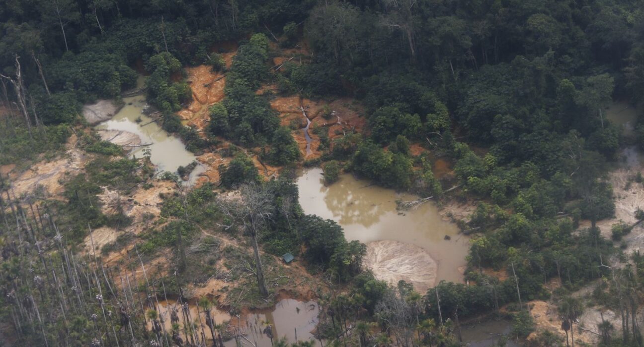 Edital prorroga inscrições para restauração em terras indígenas