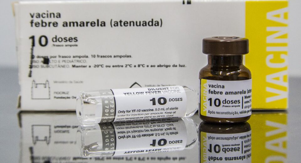 SP: quem tomou vacina fracionada da febre amarela deve completar ciclo
