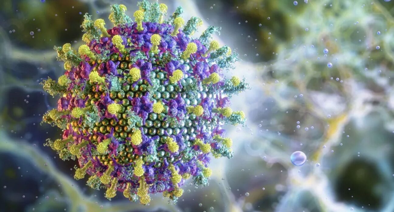 Nipah: saiba mais sobre o vírus que preocupa a Ásia