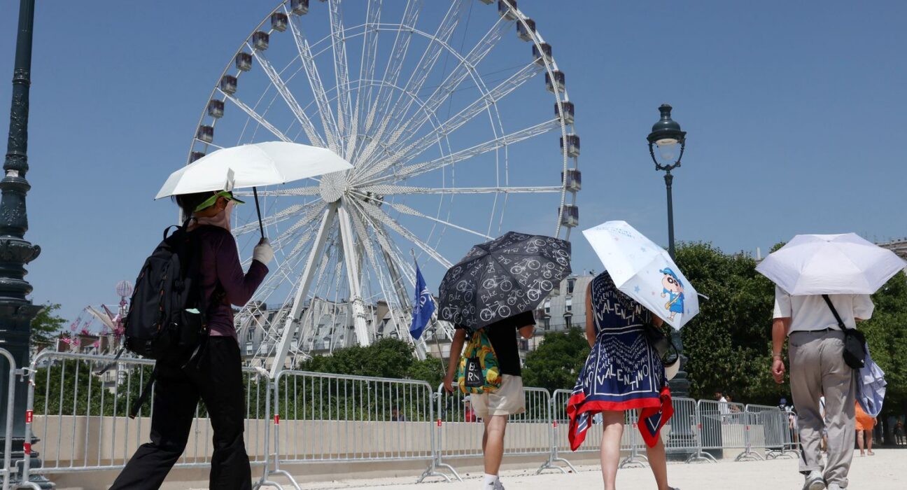 Europa: temperatura alta pode elevar transmissão do vírus Chikungunya