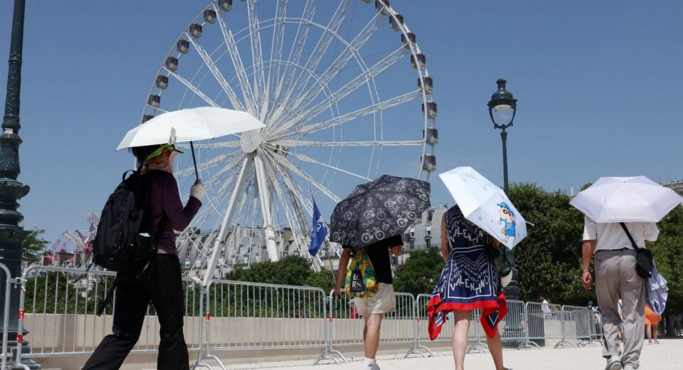 Europa: temperatura alta pode elevar transmissão do vírus Chikungunya
