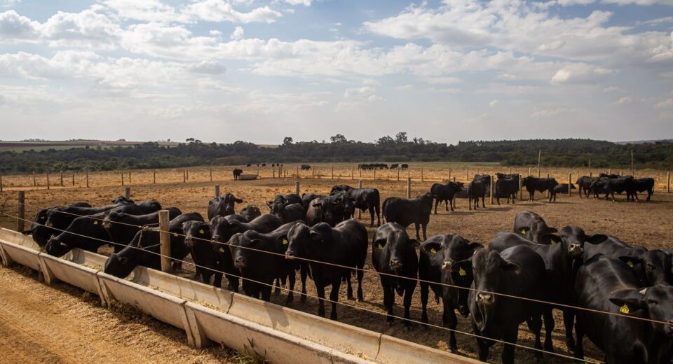 Atividade econômica brasileira cresce 2,5% em 2025