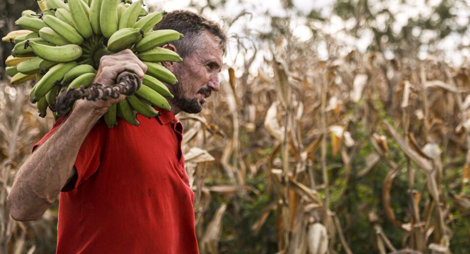 Câmara aprova uso de recursos do FGO em operações do Pronaf