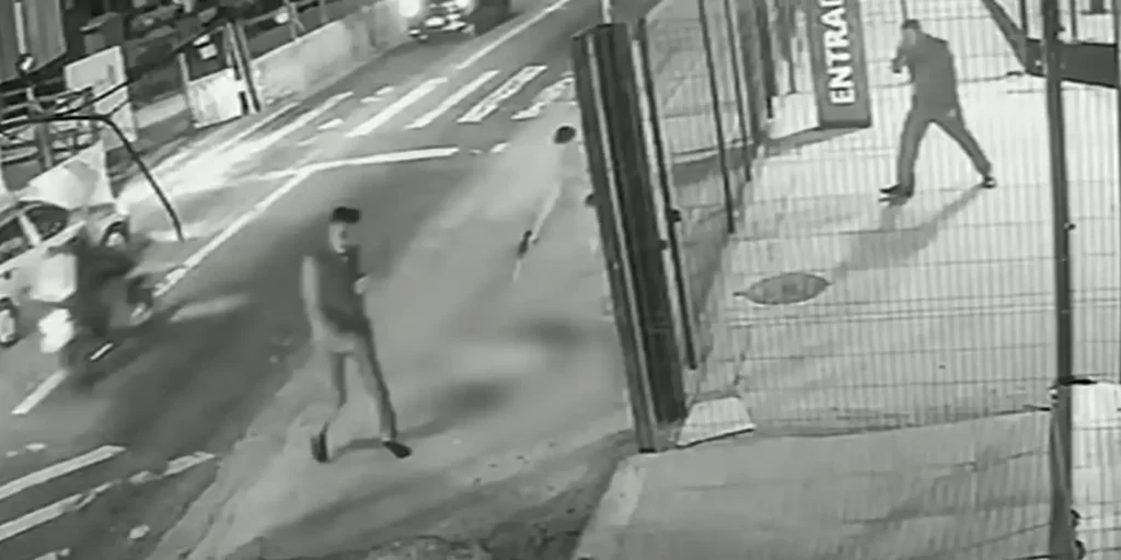 Soldado da PM depõe por ter matado cachorro comunitário em São Paulo