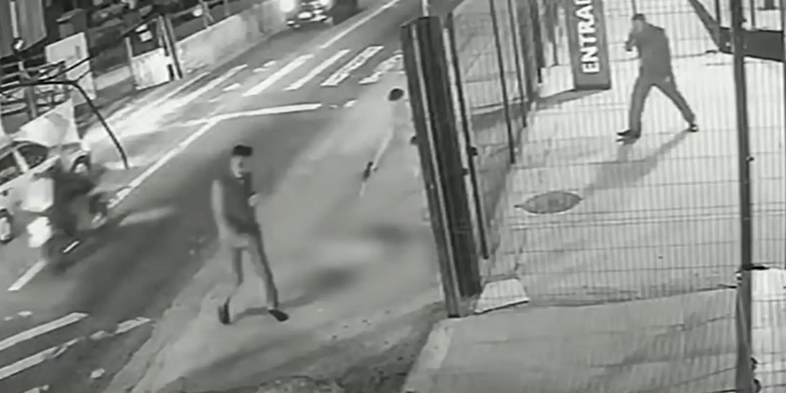 Soldado da PM depõe por ter matado cachorro comunitário em São Paulo