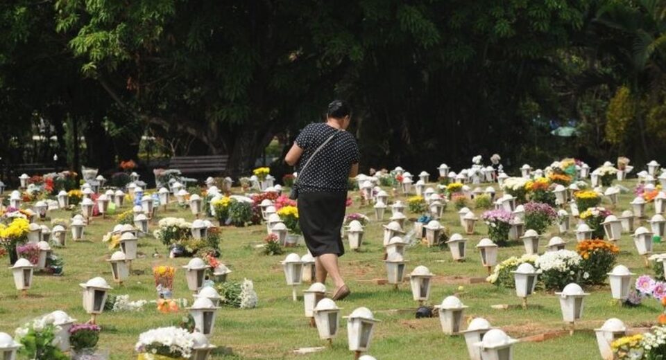 Cães e gatos podem ser sepultados em jazigos familiares em São Paulo