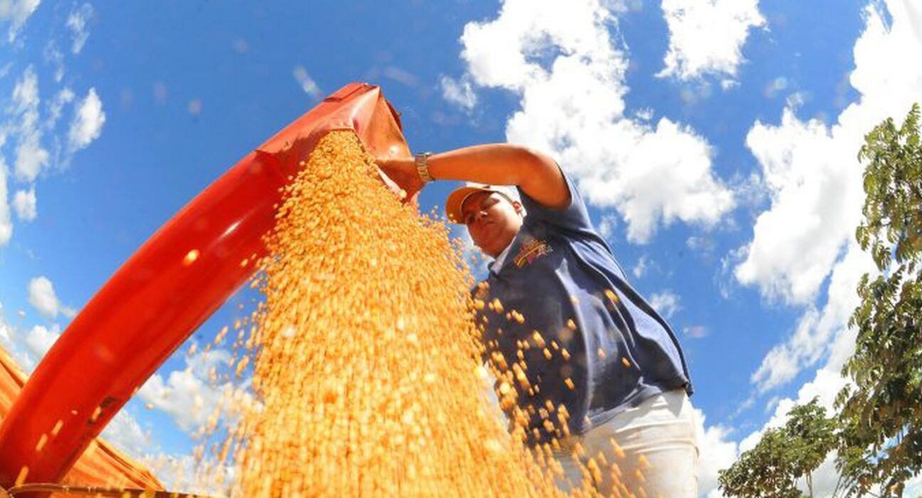 Produção de grãos pode chegar a 353,4 milhões de toneladas