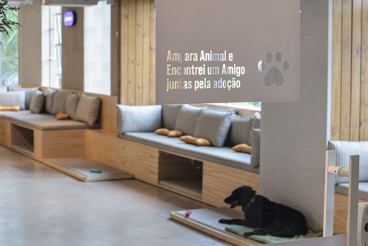 São Paulo (SP), 30/01/2026 - Adoção de Pets  na  Casa Adote na Vila Madalena em parceria com o Instituto Ampara Animal e a ONG Encontrei um Amigo.  Foto: Paulo Pinto/Agência Brasil