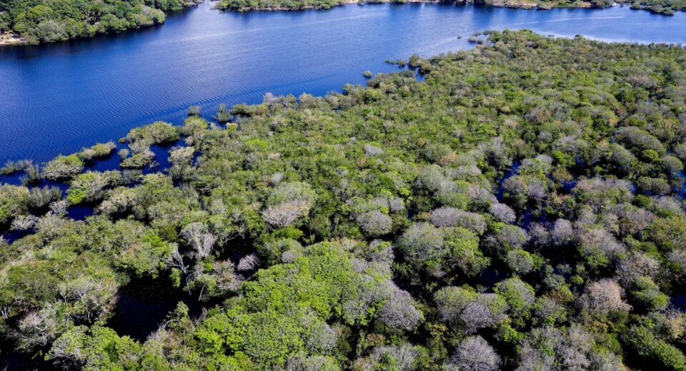 Governo lança edital para combate ao desmatamento na Amazônia