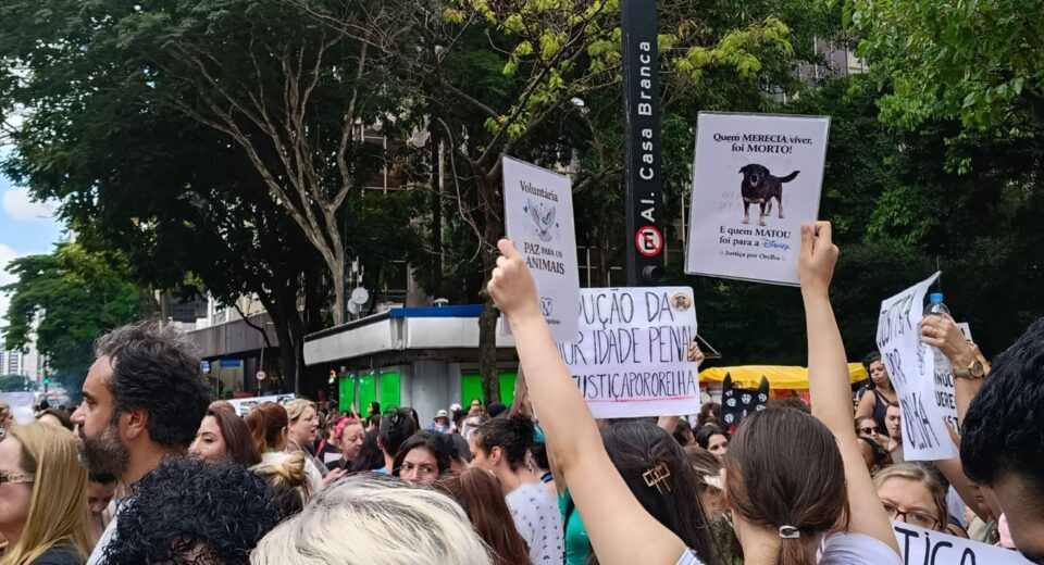 Centenas de pessoas em São Paulo pedem justiça pelo cão Orelha