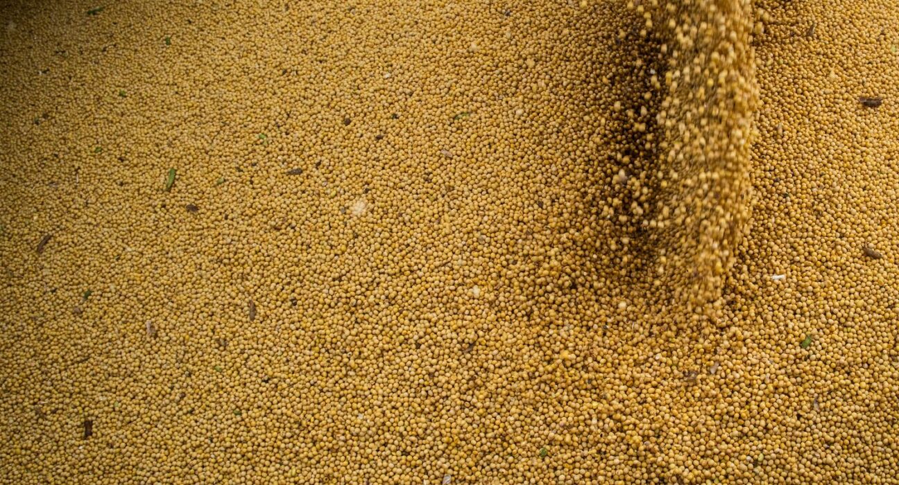 Agro cresce 11,7%, impulsiona PIB e ganha participação na economia