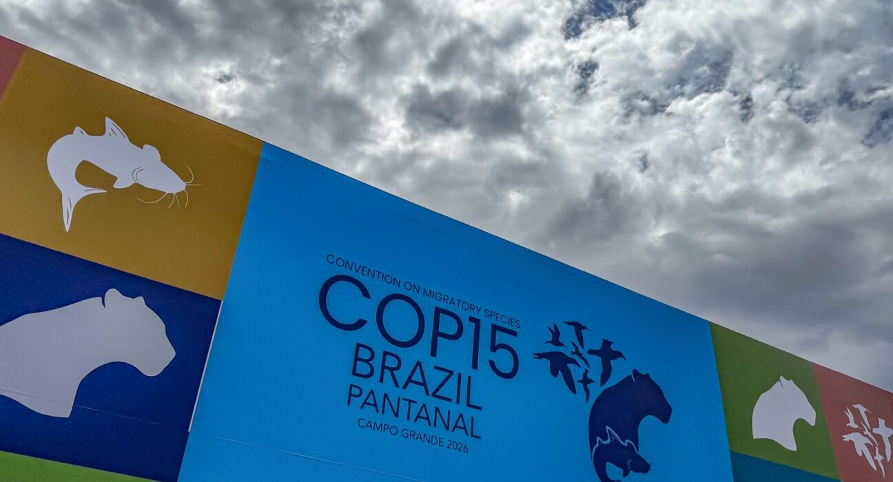 Cúpula de líderes orienta debates para COP15 em Campo Grande