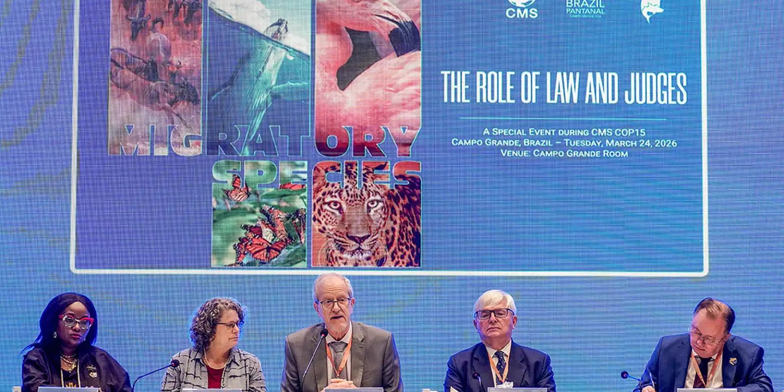 Bonito vai sediar a primeira vara ambiental com foco no Pantanal