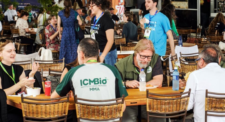 COP15: negociações avançam para proteção de espécies migratórias