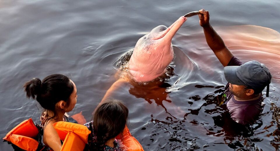 Insegurança é barreira para 62% das mulheres viajarem sozinhas