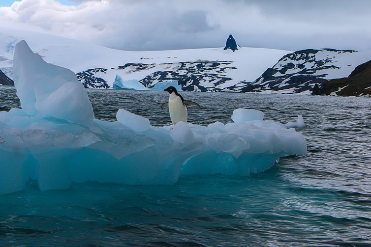 02/03/2026 - Derretimento das geleiras e calotas polares vai afetar sobretudo cidades costeiras, revela estudo. Foto: Aline Martinez/Divulgação