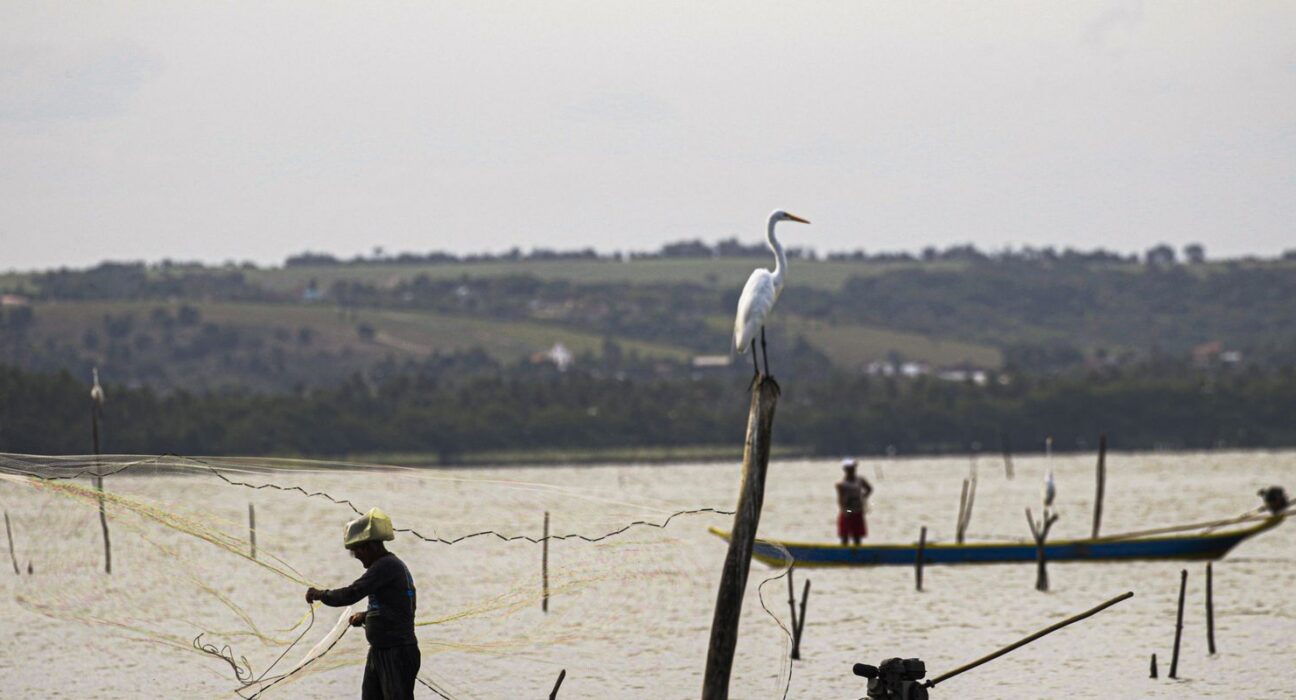 Sexto lote do seguro-defeso será disponibilizado na terça-feira