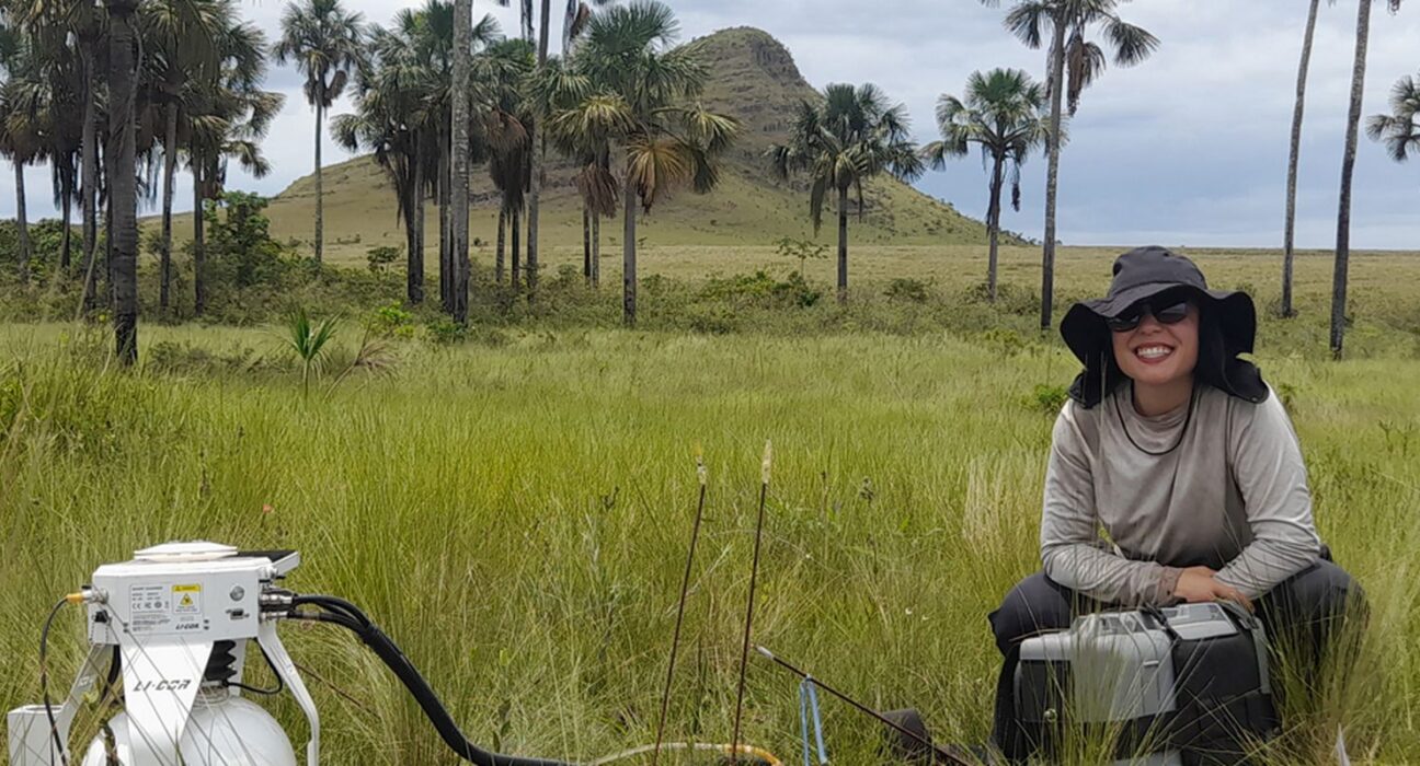 Estudo indica que Cerrado pode armazenar mais carbono que Amazônia