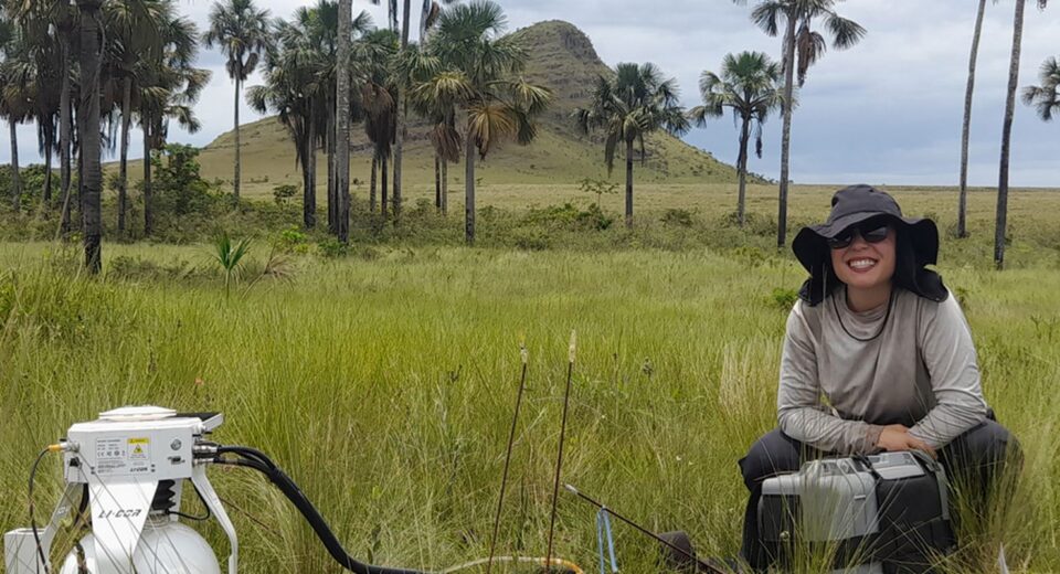 Estudo indica que Cerrado pode armazenar mais carbono que Amazônia