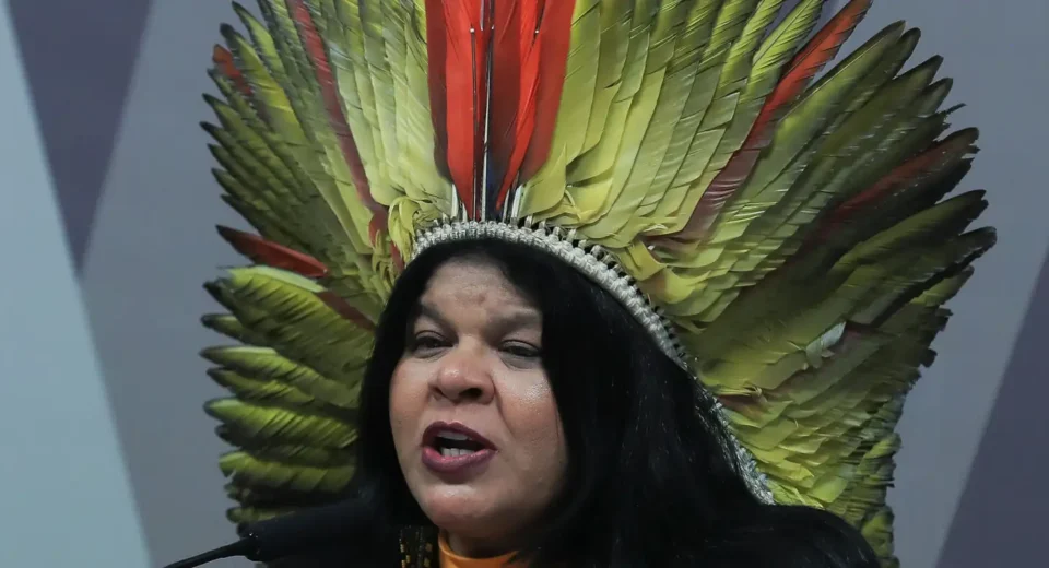 Sônia Guajajara apresenta melhoras, mas continua internada em SP