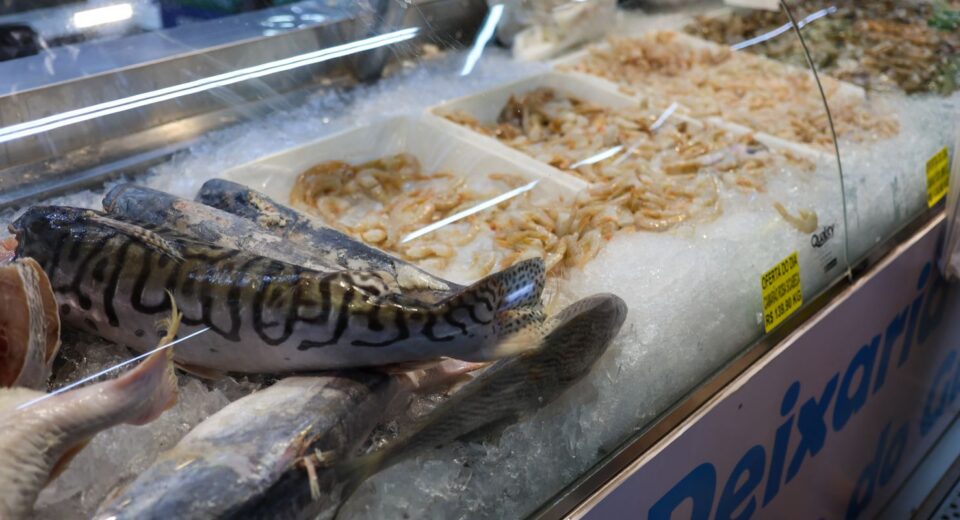 Vigilância Sanitária orienta sobre compra de pescado na Semana Santa