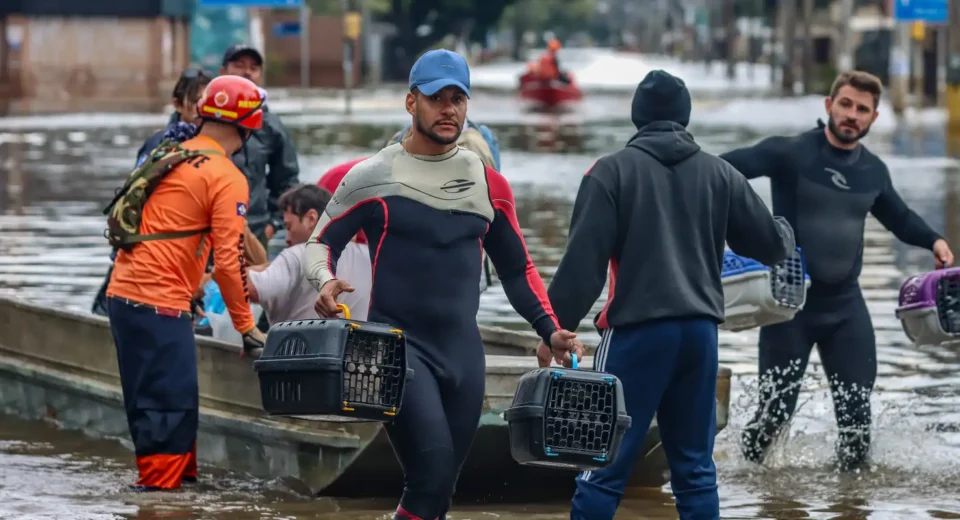 Lei cria Política de Acolhimento para animais resgatados em desastres