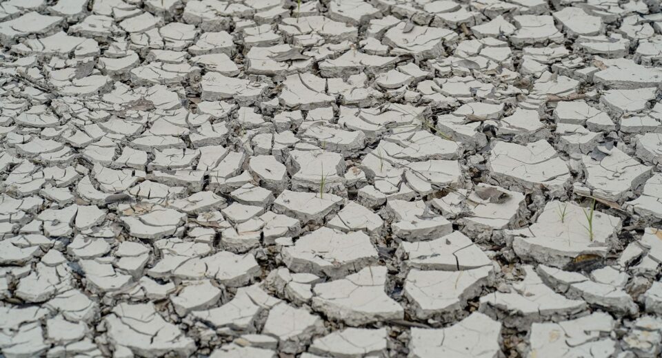 Estiagem: quinze cidades têm situação de emergência decretada