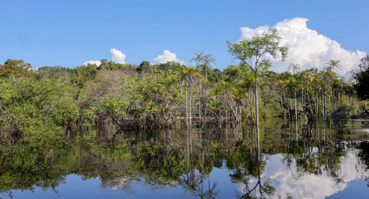 Tesouro muda regras de leilão para projetos sustentáveis