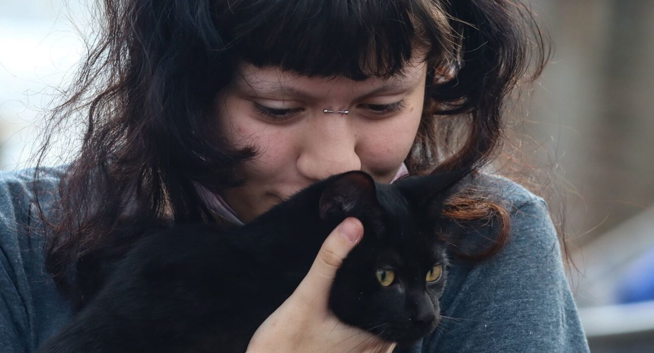 Programa da Prefeitura de SP faz castração gratuita de cães e gatos