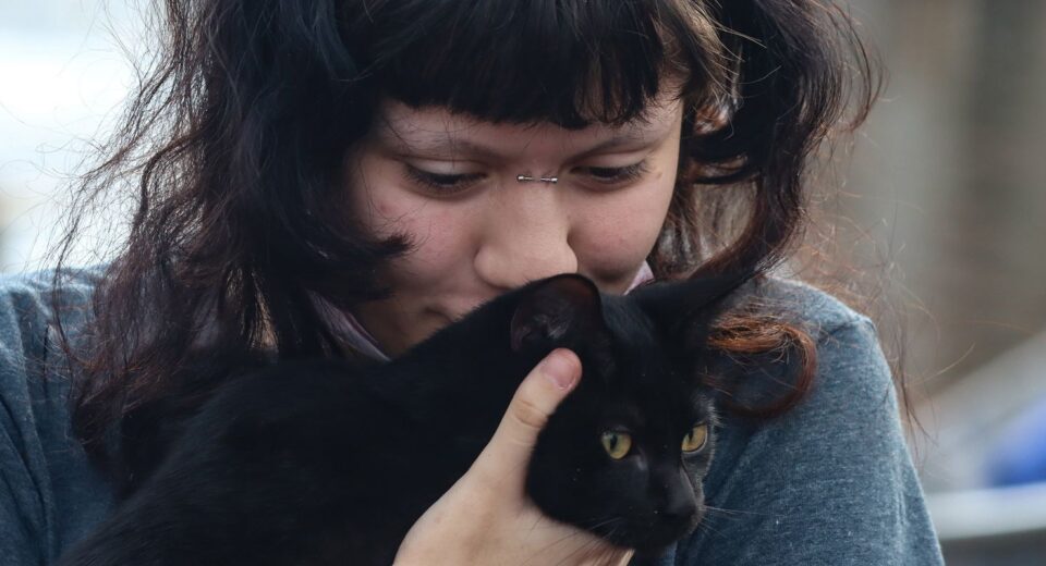 Programa da Prefeitura de SP faz castração gratuita de cães e gatos