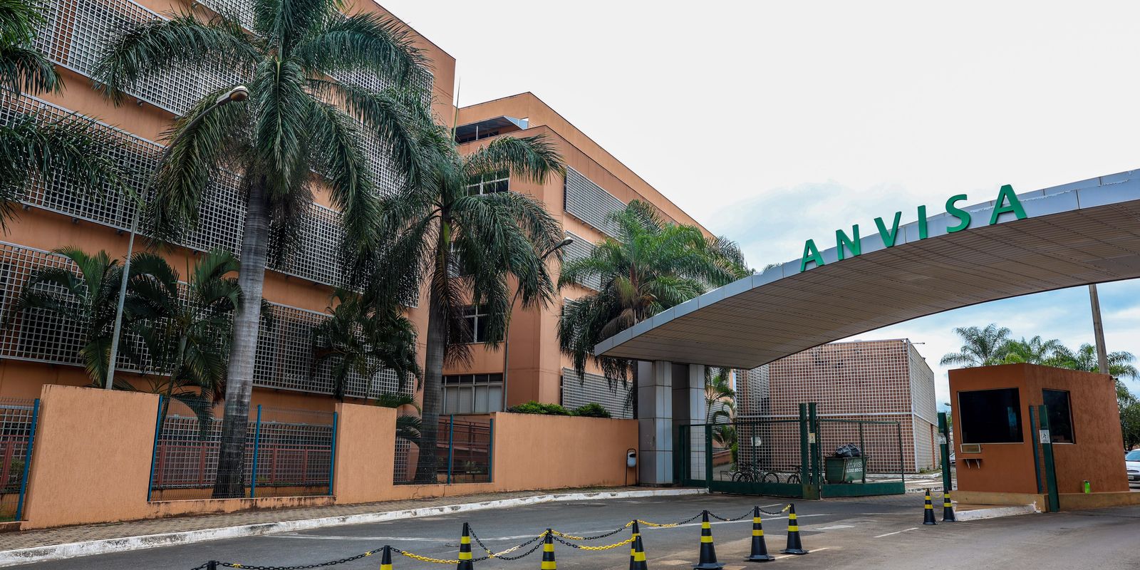 Anvisa atualiza limites de cúrcuma em suplementos alimentares