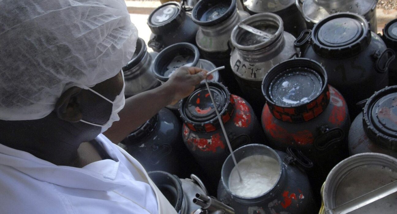 CMN libera linha de capital de giro a cooperativas de leite no Pronaf