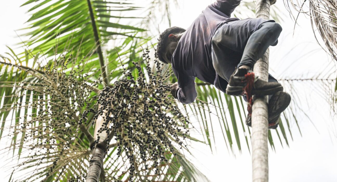 Governo investe R$ 132 milhões em regularização fundiária na Amazônia