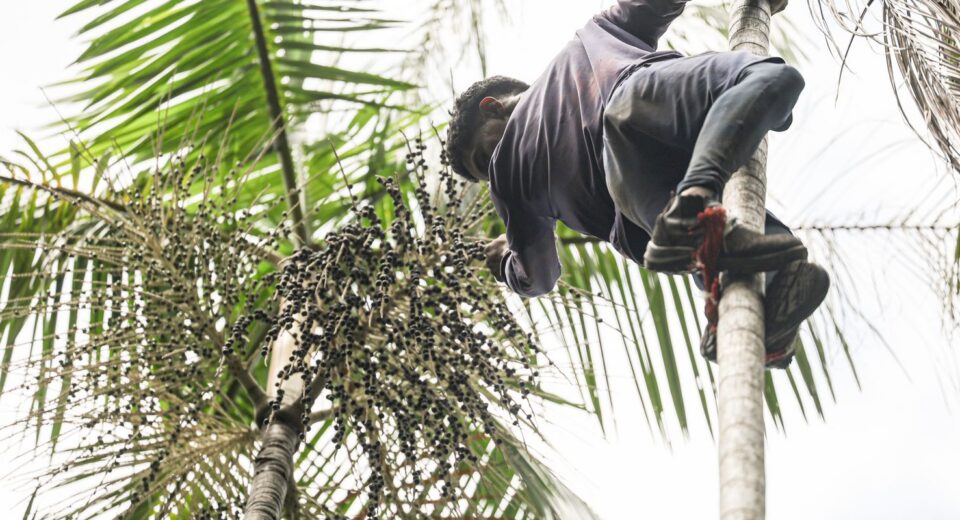 Governo investe R$ 132 milhões em regularização fundiária na Amazônia