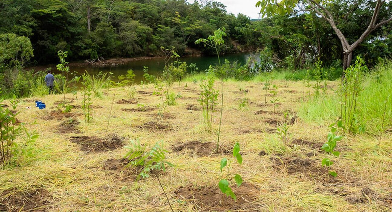 Parque não inclui área destinada a salvar BRB, diz associação
