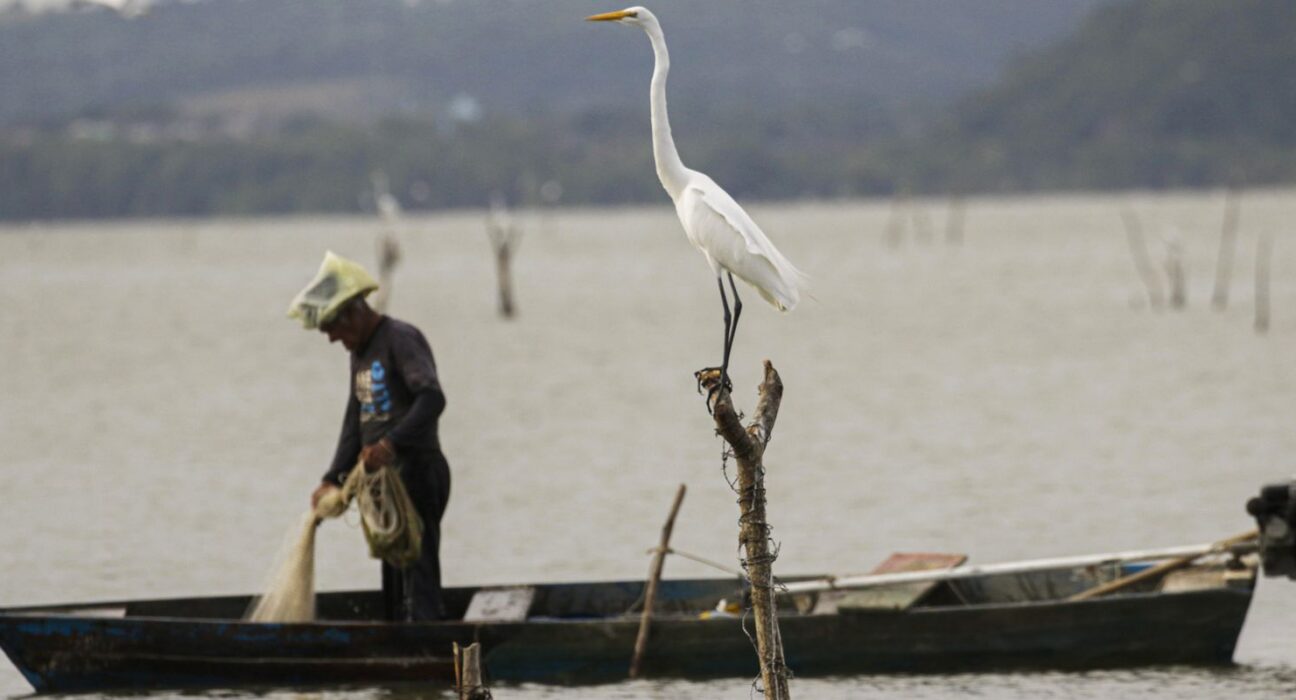 Mudanças aprovadas para o seguro-defeso previnem fraudes, diz relator