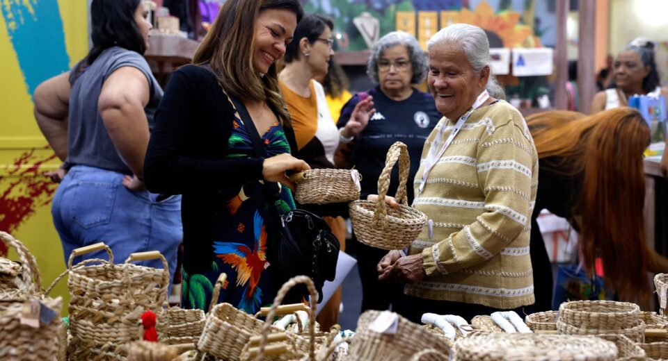 Brasil já tem 4,5 milhões de empreendedores da Economia Prateada