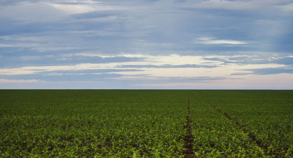 Fazenda estuda Fundo Garantidor para dívidas rurais