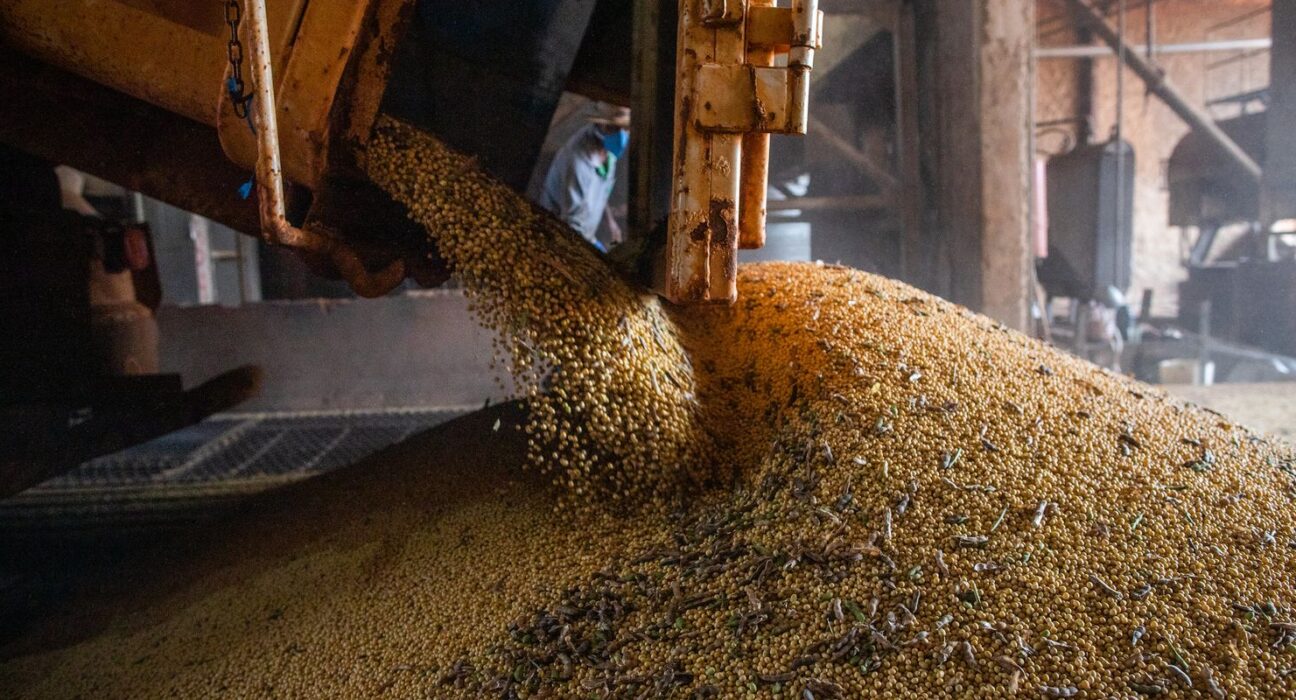 Economia brasileira cresce 1,1% no 1º trimestre