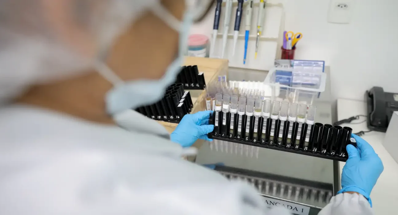 Fiocruz obtém patente para tratamento contra malária resistente