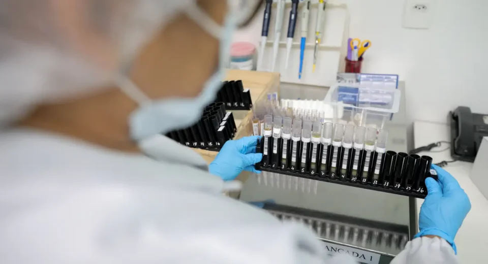 Fiocruz obtém patente para tratamento contra malária resistente