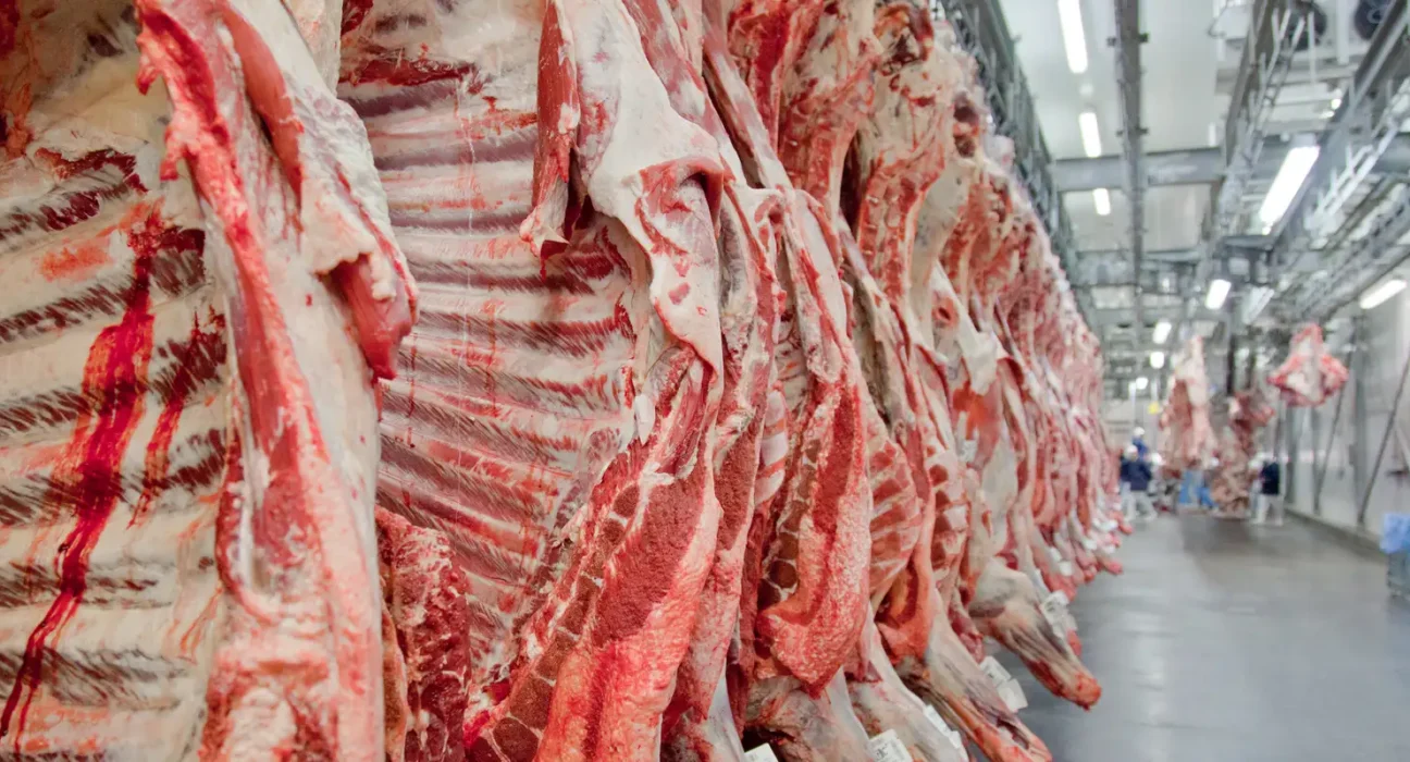 Governo promete reverter veto da UE a carnes e animais brasileiros