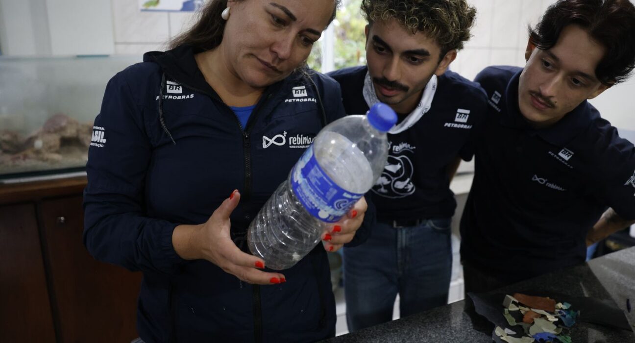 Mais de 93% dos peixes vendidos no litoral do Paraná têm microplástico