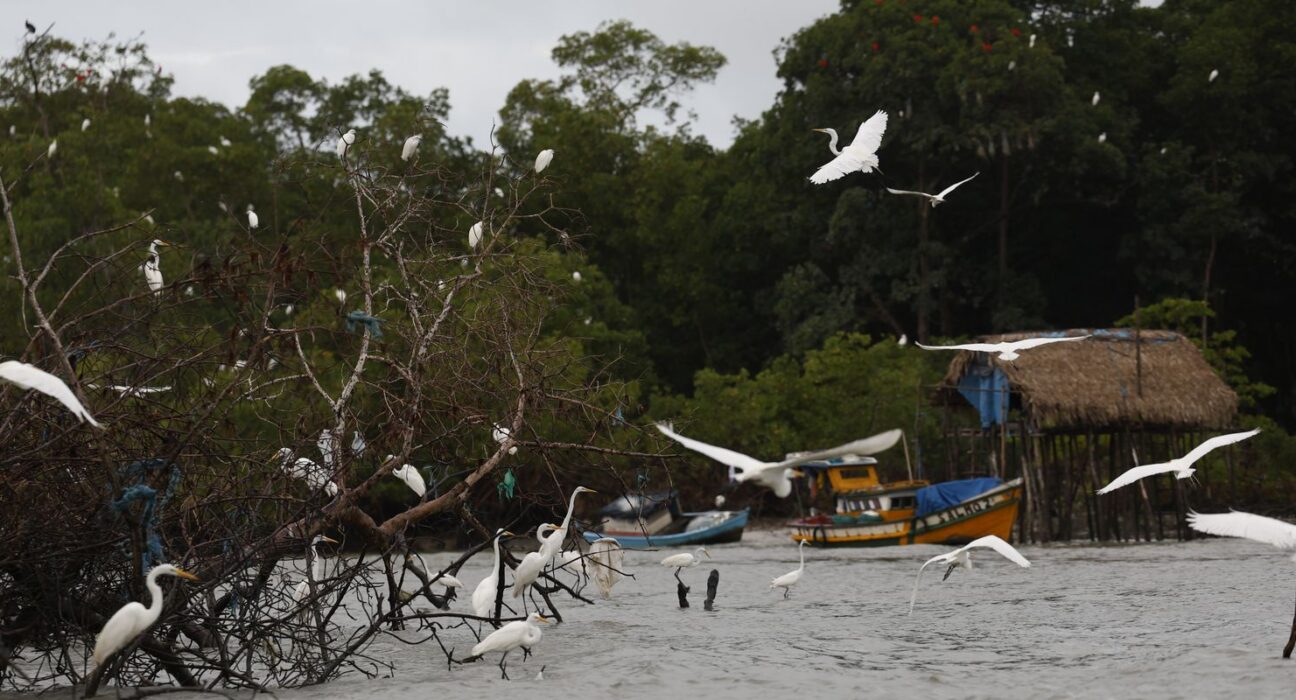 Amazônia Soberana: programa vai combater crimes em áreas de fronteira