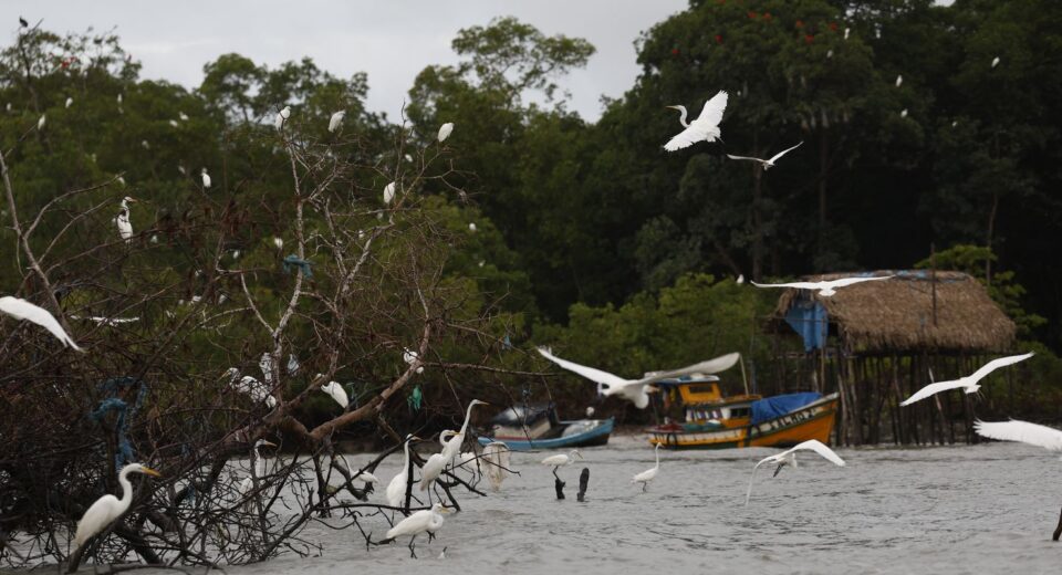 Amazônia Soberana: programa vai combater crimes em áreas de fronteira