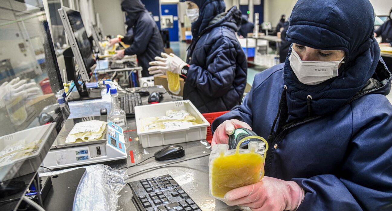 Projeto dispensa licitação para medicamentos produzidos pela Hemobrás