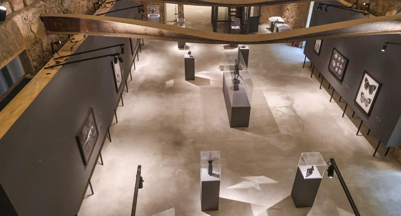 Museu Nacional lança exposições inéditas em comemoração aos 208 anos