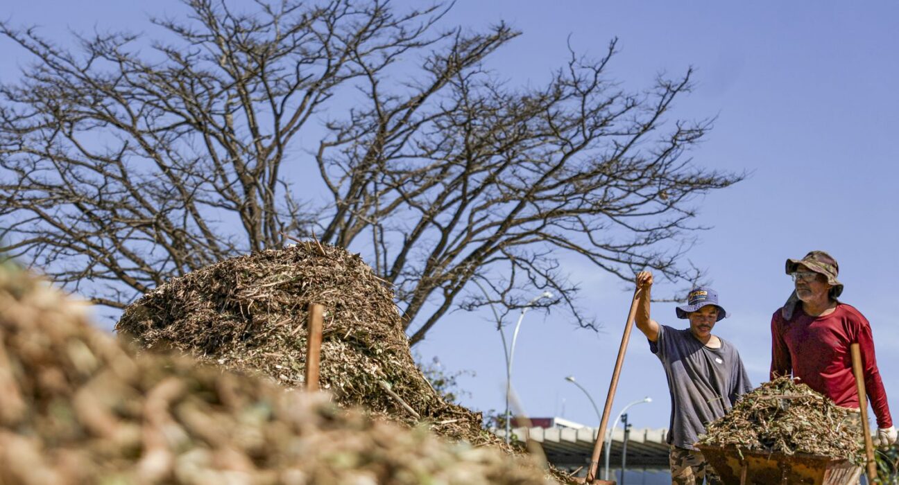 Sistemas agroecológicos de quatro biomas são criados em Brasília